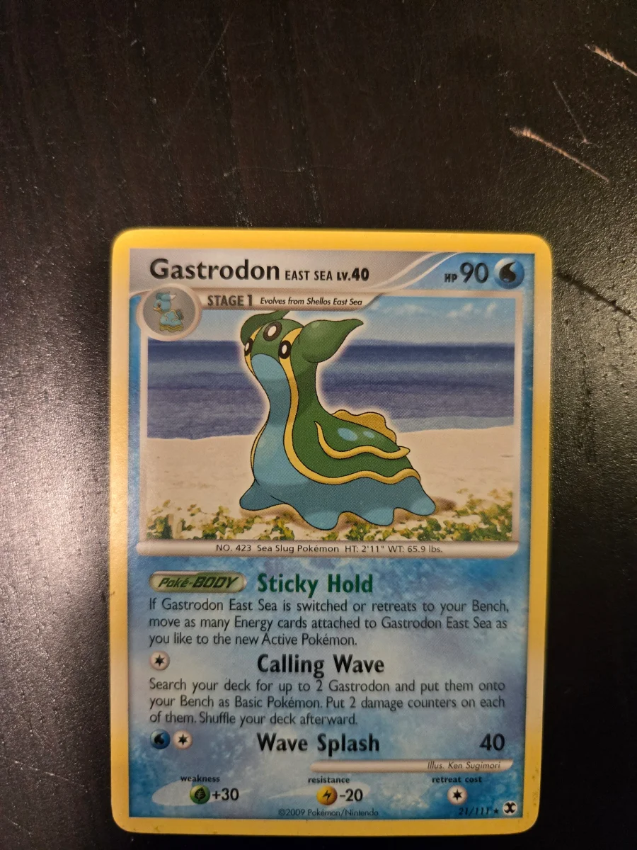 Gastrodon East Sea