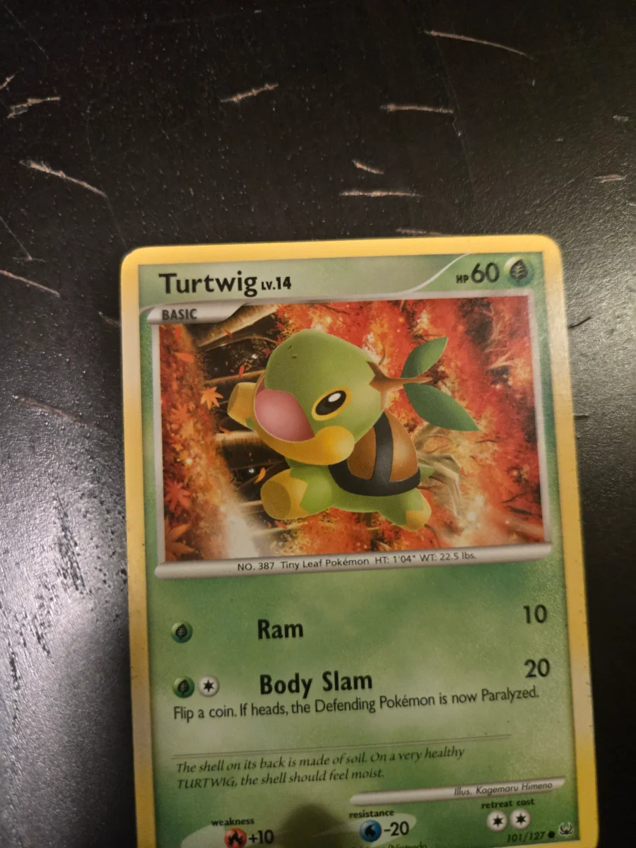 Turtwig