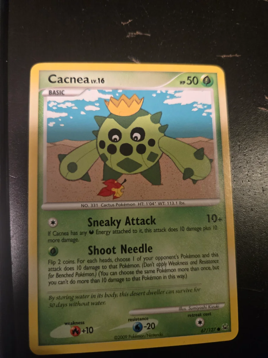 Cacnea