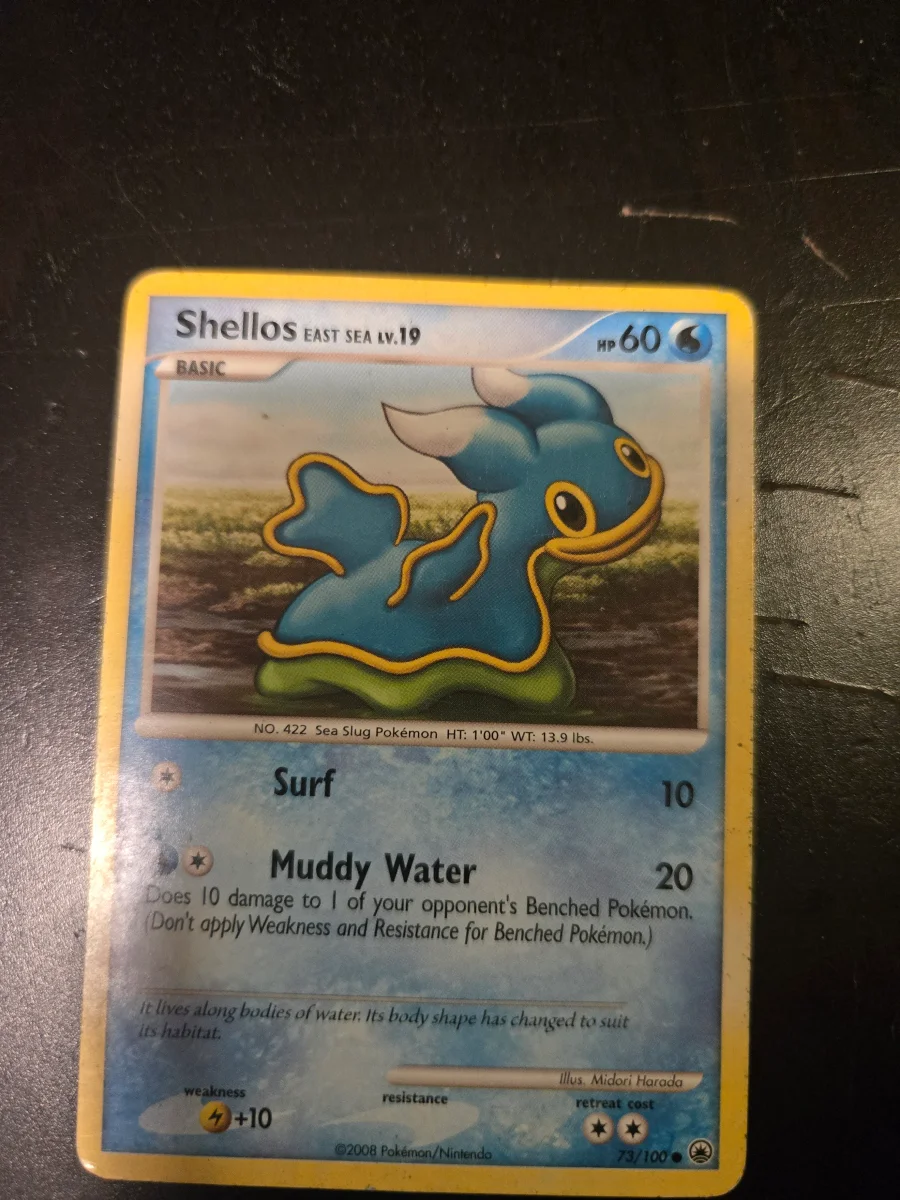 Shellos East Sea
