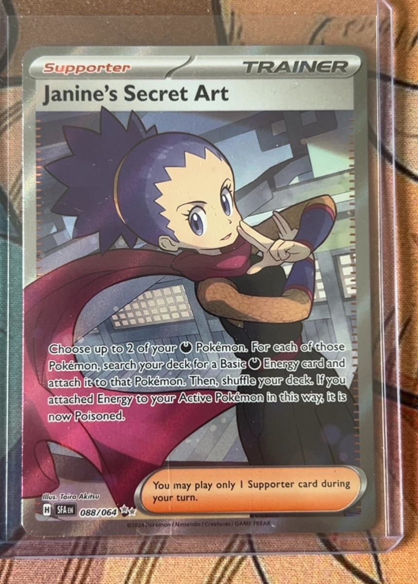 Janine's Secret Art