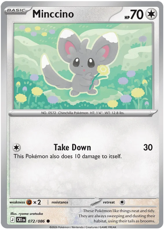 Minccino