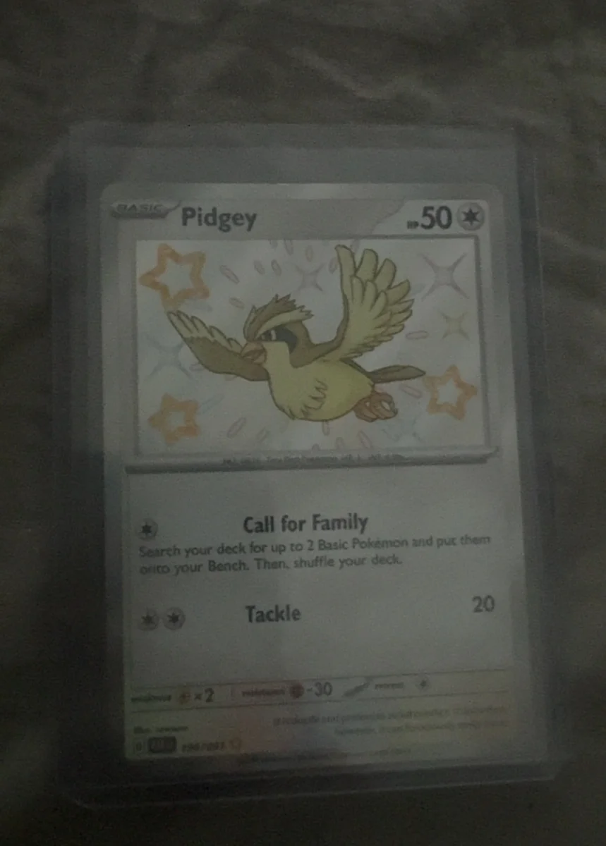 Pidgey